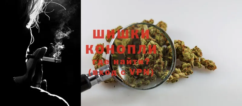 Бошки марихуана Ganja  Талица 